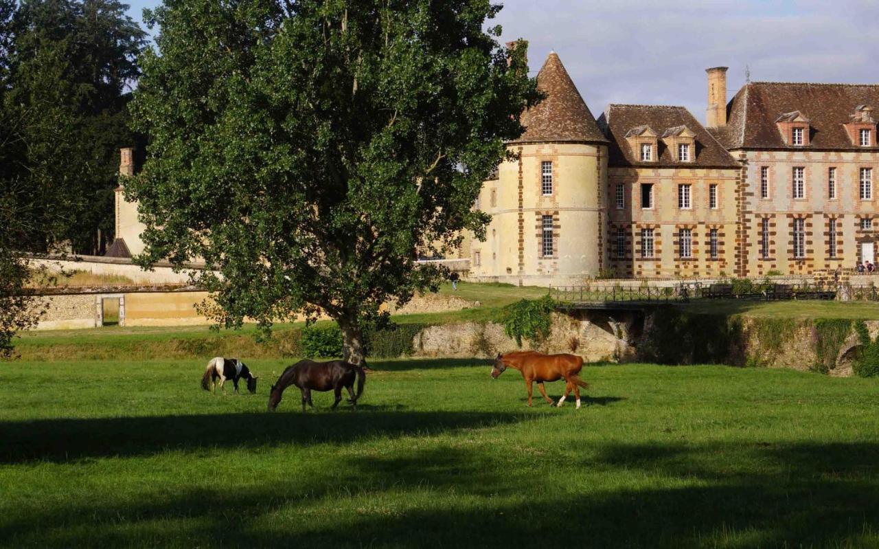 Chateau De La Riviere Bed & Breakfast Pontgouin Luaran gambar